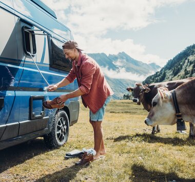 Person reinigt Schuhe am Carado Wohnmobil auf Almwiese, zwei Kühe stehen daneben